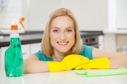 Cleaning products and equipment used with care