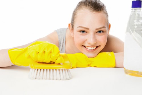 Trusted payment security features for carpet cleaning services