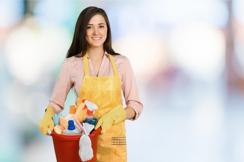 Bedroom mattress maintenance and odor removal service