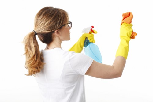 Carpet and upholstery stain treatment in a local Colliers Wood property