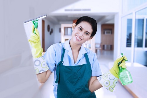 Enzyme treatment for lingering pet smells in Colliers Wood